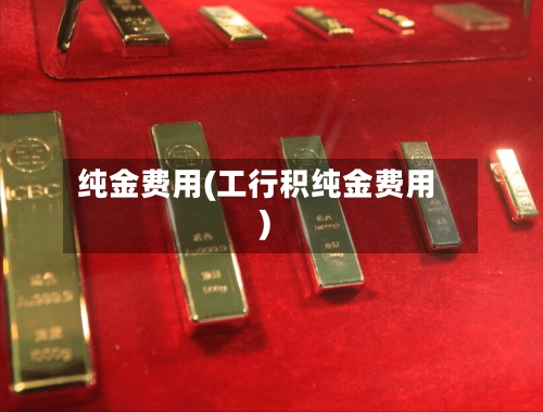 纯金费用(工行积纯金费用)-第1张图片