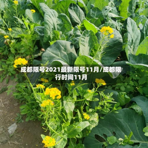 成都限号2021最新限号11月/成都限行时间11月-第1张图片