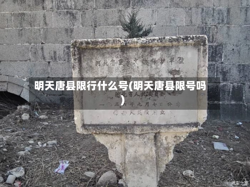 明天唐县限行什么号(明天唐县限号吗)-第1张图片
