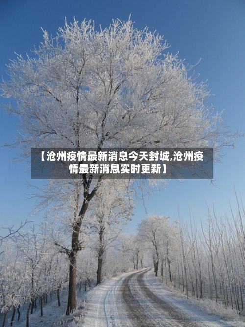 【沧州疫情最新消息今天封城,沧州疫情最新消息实时更新】-第2张图片