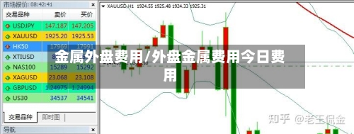 金属外盘费用/外盘金属费用今日费用-第3张图片
