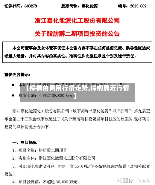 【棕榈的费用行情走势,棕榈最近行情】-第3张图片