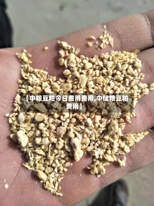 【中粮豆粕今日费用费用,中储粮豆粕费用】-第1张图片
