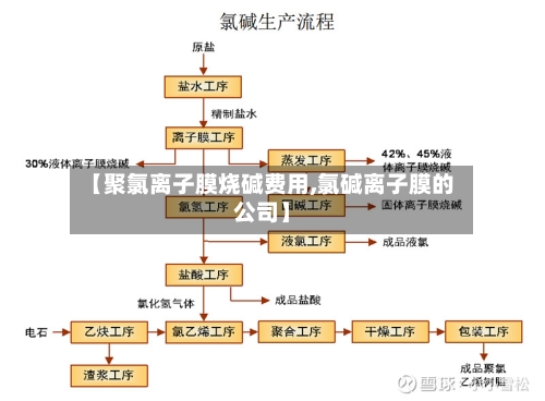 【聚氯离子膜烧碱费用,氯碱离子膜的公司】