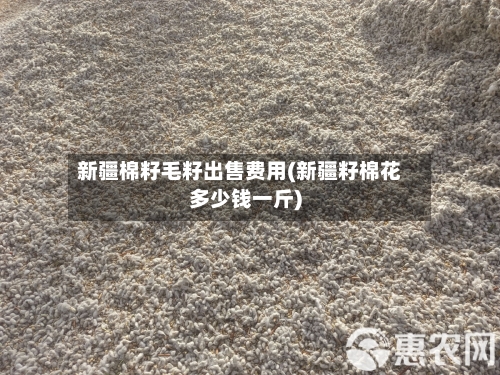 新疆棉籽毛籽出售费用(新疆籽棉花多少钱一斤)-第1张图片