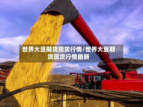 世界大豆期货现货行情/世界大豆期货现货行情最新-第1张图片