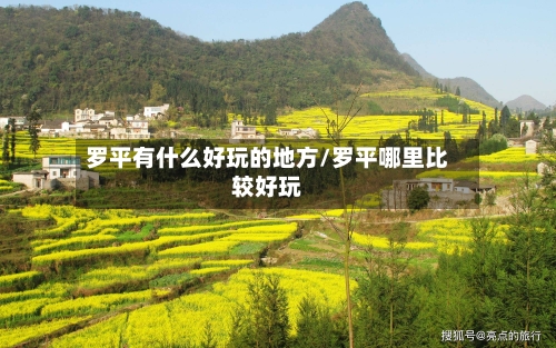 罗平有什么好玩的地方/罗平哪里比较好玩