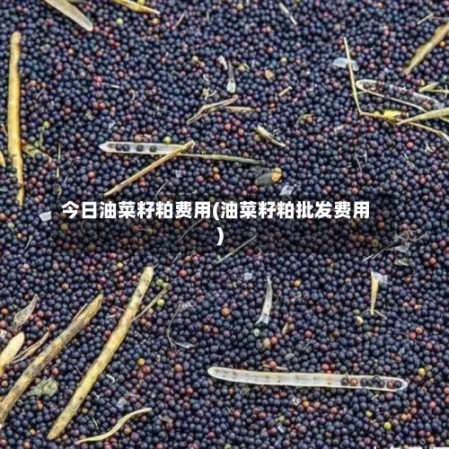 今日油菜籽粕费用(油菜籽粕批发费用)-第3张图片