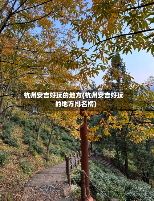 杭州安吉好玩的地方(杭州安吉好玩的地方排名榜)