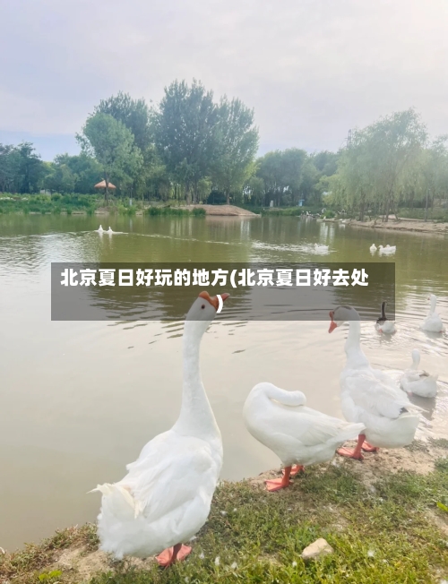 北京夏日好玩的地方(北京夏日好去处)-第1张图片