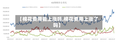【棉花费用能上涨吗,棉花费用上涨了吗】-第1张图片