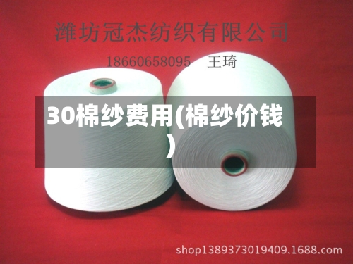 30棉纱费用(棉纱价钱)-第2张图片