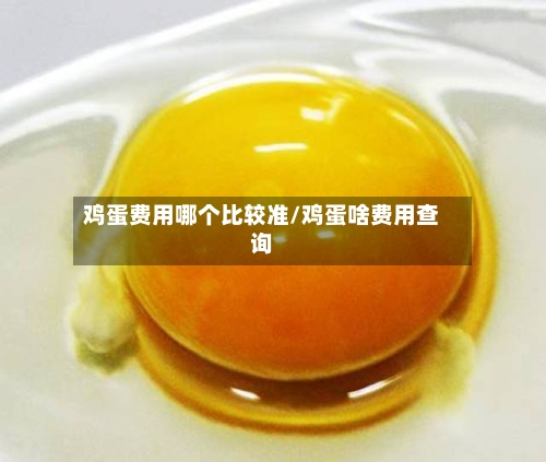 鸡蛋费用哪个比较准/鸡蛋啥费用查询-第1张图片