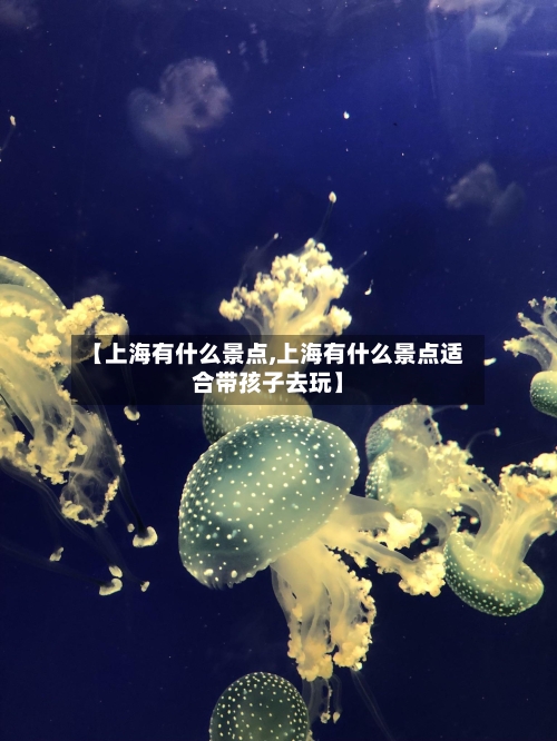 【上海有什么景点,上海有什么景点适合带孩子去玩】-第1张图片