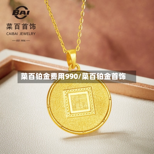 菜百铂金费用990/菜百铂金首饰-第2张图片