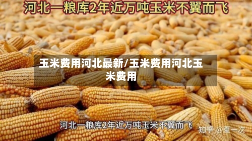 玉米费用河北最新/玉米费用河北玉米费用-第1张图片