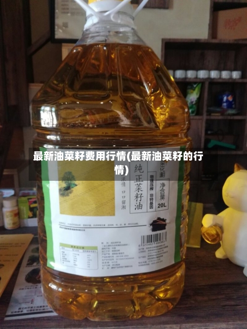 最新油菜籽费用行情(最新油菜籽的行情)-第3张图片