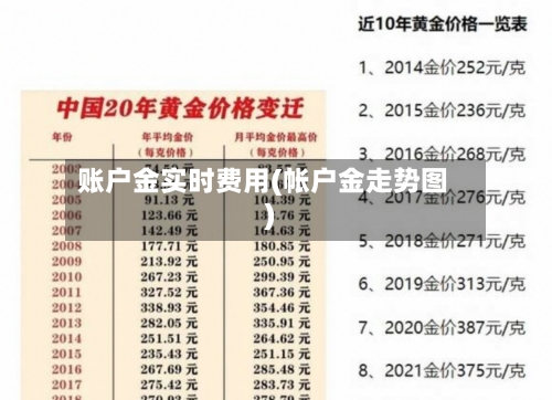 账户金实时费用(帐户金走势图)