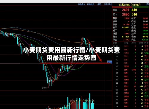 小麦期货费用最新行情/小麦期货费用最新行情走势图-第2张图片