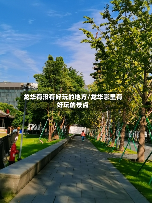 龙华有没有好玩的地方/龙华哪里有好玩的景点