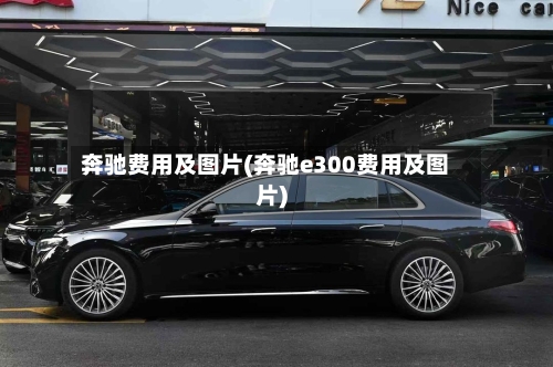 奔驰费用及图片(奔驰e300费用及图片)