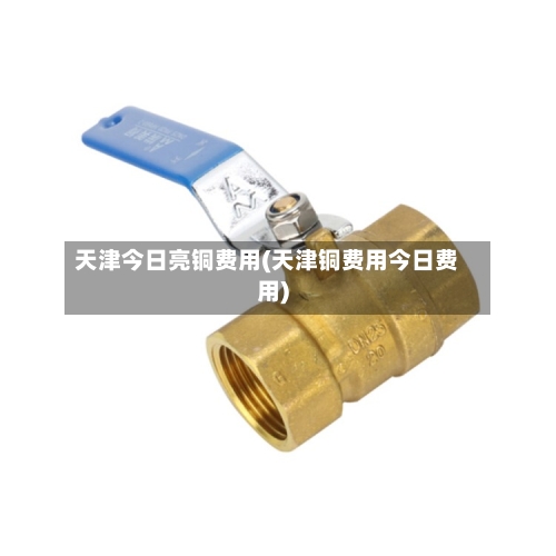 天津今日亮铜费用(天津铜费用今日费用)-第2张图片