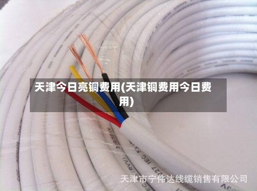 天津今日亮铜费用(天津铜费用今日费用)-第1张图片