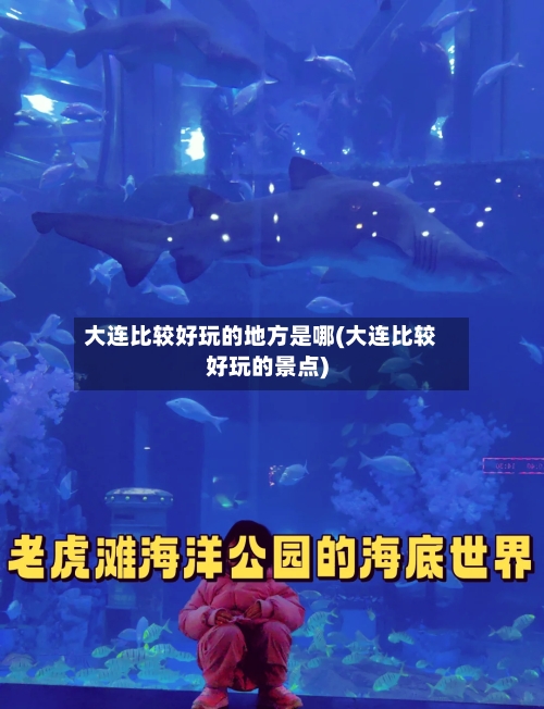 大连比较好玩的地方是哪(大连比较好玩的景点)-第1张图片