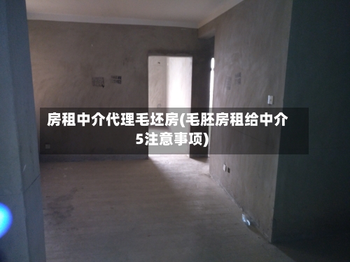 房租中介代理毛坯房(毛胚房租给中介5注意事项)-第2张图片