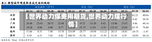 【世界动力煤费用期货,世界动力煤行情】-第1张图片