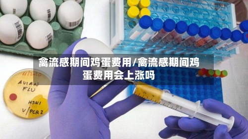禽流感期间鸡蛋费用/禽流感期间鸡蛋费用会上涨吗-第1张图片