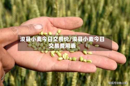 浚县小麦今日交易价/浚县小麦今日交易费用表-第3张图片