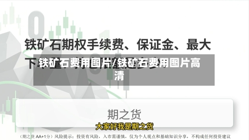 铁矿石费用图片/铁矿石费用图片高清-第2张图片