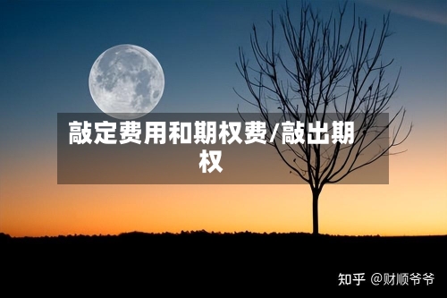敲定费用和期权费/敲出期权-第1张图片