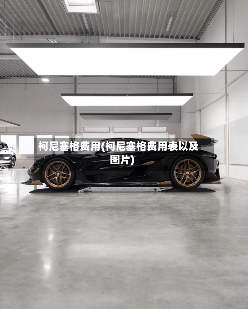 柯尼塞格费用(柯尼塞格费用表以及图片)-第2张图片