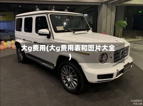 大g费用(大g费用表和图片大全)-第2张图片