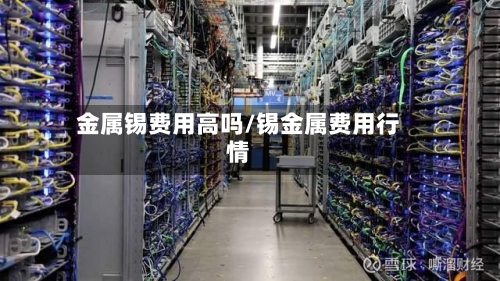 金属锡费用高吗/锡金属费用行情-第1张图片