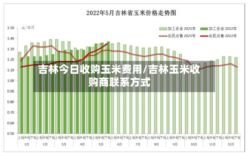 吉林今日收购玉米费用/吉林玉米收购商联系方式-第3张图片