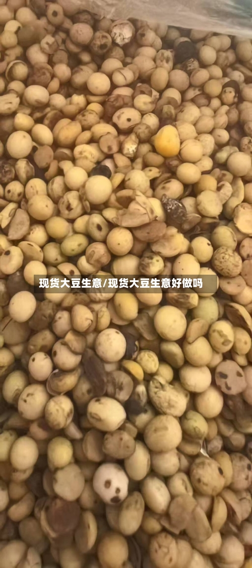 现货大豆生意/现货大豆生意好做吗-第1张图片