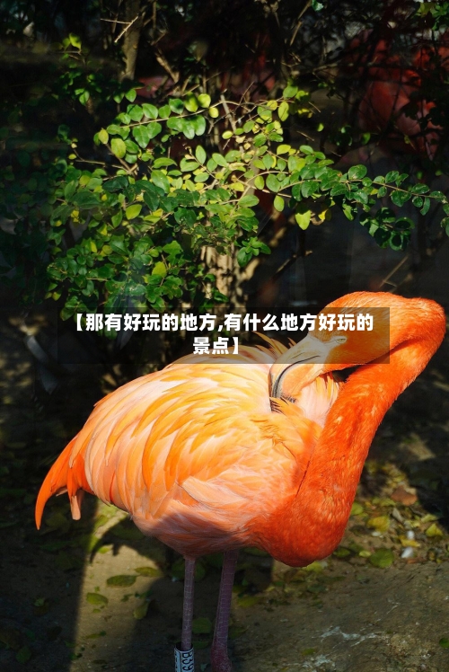 【那有好玩的地方,有什么地方好玩的景点】-第2张图片
