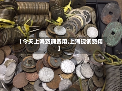 【今天上海费铜费用,上海现铜费用】-第1张图片