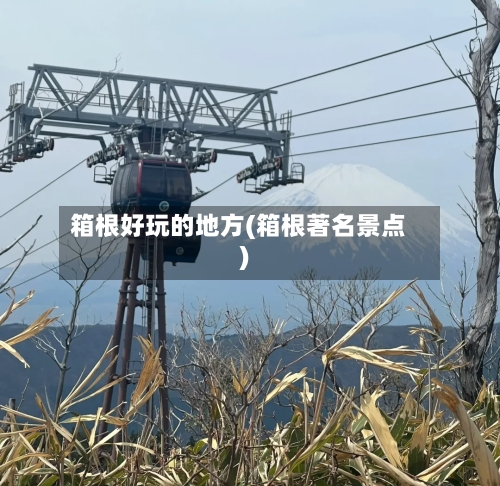 箱根好玩的地方(箱根著名景点)-第1张图片
