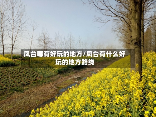 凤台哪有好玩的地方/凤台有什么好玩的地方路线-第1张图片