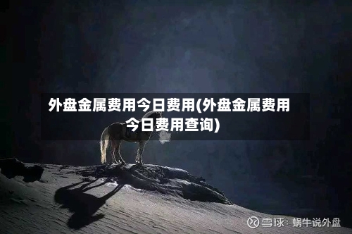 外盘金属费用今日费用(外盘金属费用今日费用查询)-第1张图片