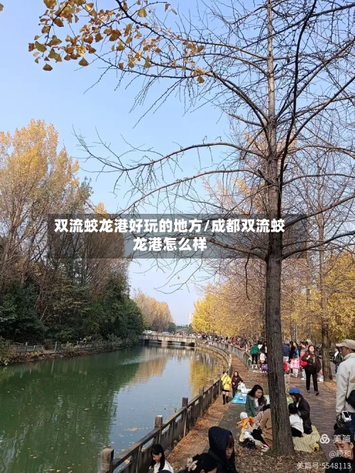 双流蛟龙港好玩的地方/成都双流蛟龙港怎么样-第2张图片