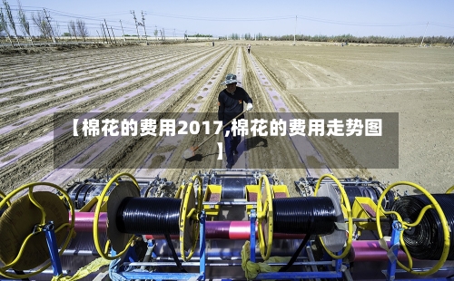 【棉花的费用2017,棉花的费用走势图】-第2张图片