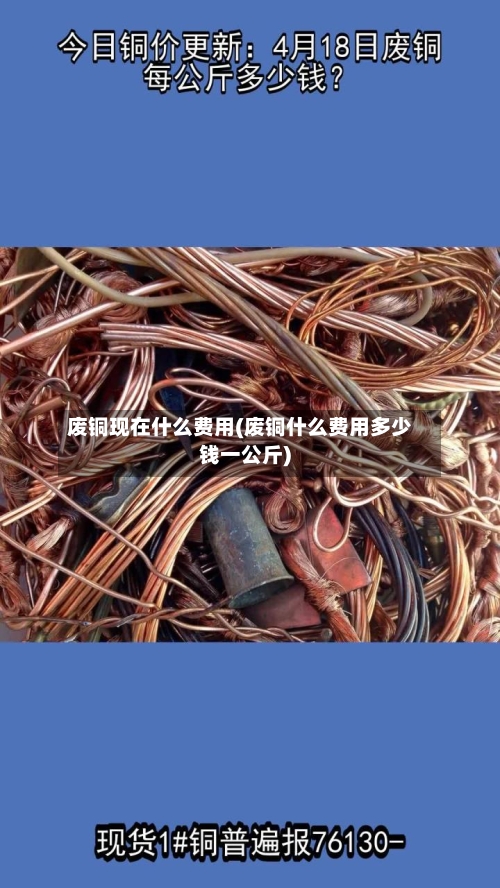 废铜现在什么费用(废铜什么费用多少钱一公斤)-第1张图片
