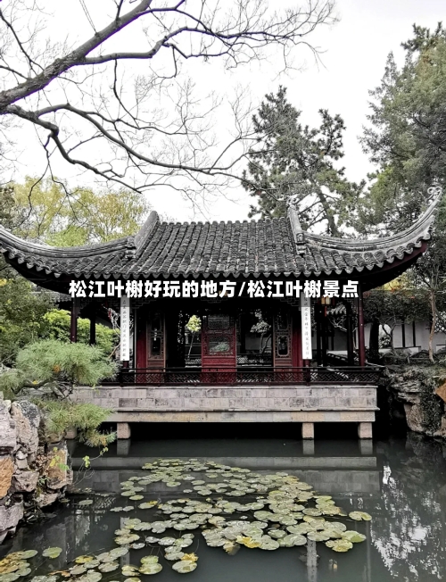 松江叶榭好玩的地方/松江叶榭景点-第1张图片