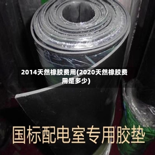 2014天然橡胶费用(2020天然橡胶费用是多少)-第2张图片
